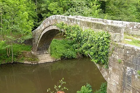 packhorse bridge: a narrow bridge with low parapets designed specifically for packhorses carrying loads across rivers...