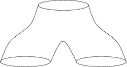 pair of pants: a single garment that covers one's legs individually with sleeves, and also covers the pelvis