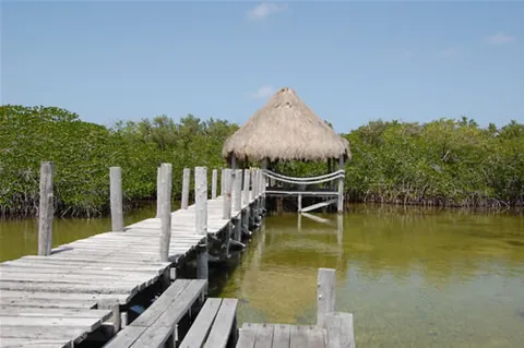 palapa: an open-sided dwelling with a thatched roof made of dried palm leaves