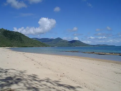 palm island mystery disease: a 1979 outbreak of sudden severe gastroenteritis and liver-related illness that affected mainly...