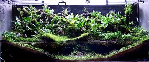 paludarium: a tank or vivarium containing both aquatic and terrestrial elements
