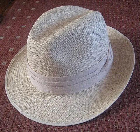 panama hat: a type of brimmed hat braided in Peru and Ecuador with the leaves of Carludovica palmata