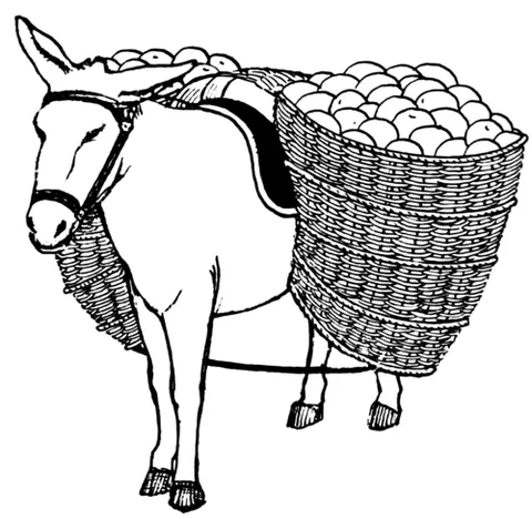pannier: a large basket or bag fastened, usually in pairs, to the back of a bicycle or pack animal, or...