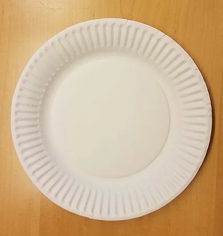 paper plate: a disposable cardboard plate