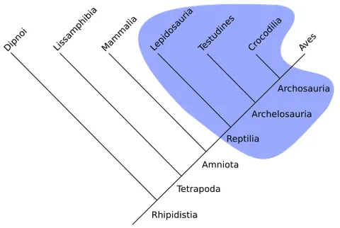 paraphyletic: of a defined group of taxa: not including all descendants of the most recent common ancestor of all...