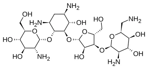 paromomycin: a mixture of broad-spectrum aminoglycoside antibiotics related to neomycin and produced by some...