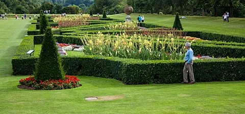 parterre: a flowerbed, particularly an elevated one