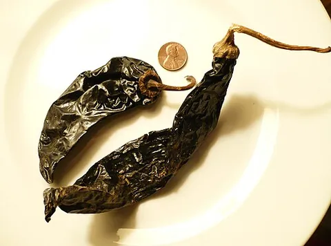 pasilla: a variety of chili (a dried chilaca), used especially in sauces