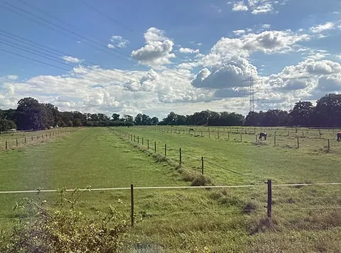 pasture: land, specifically, an open field, on which livestock is kept for feeding