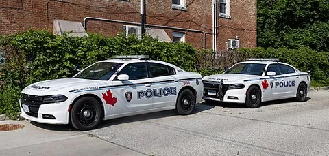 patrol car: the car in which law enforcement officers, such as police officers or park rangers, patrol an area