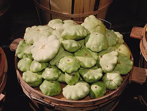 pattypan squash: a summer squash belonging to the species Cucurbita pepo, distinguished by its small size, shallow...