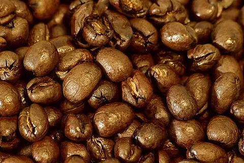 peaberry: a kind of coffee bean, one that develops alone in the cherry rather than with a second seed and...