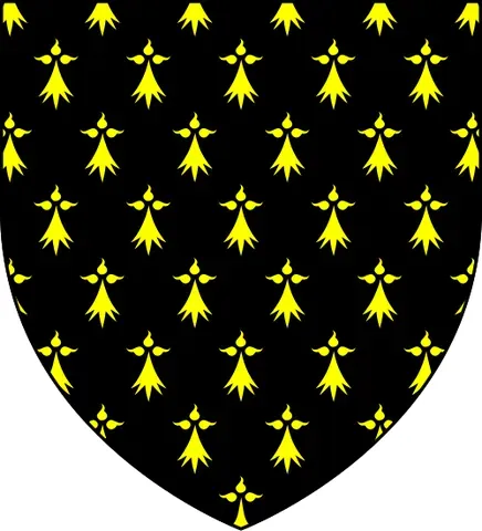 pean: a heraldic fur of gold spots on a black field
