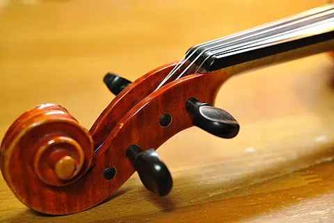pegbox: the part of a violin or similar stringed instrument that holds the tuning pegs