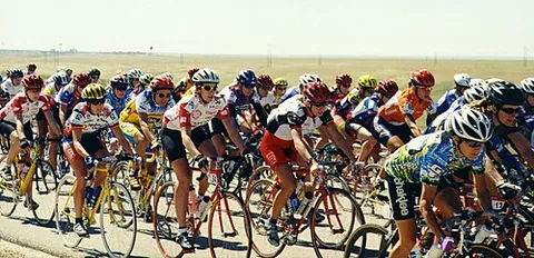 peloton: a group of riders formed during a cycling road race; especially, the main group of riders; the pack