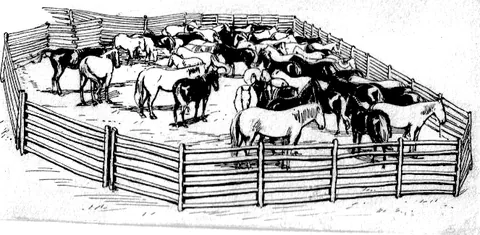 pen: an enclosure (enclosed area) used to contain domesticated animals, especially sheep or cattle