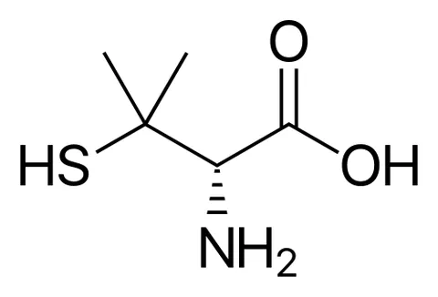 penicillamine: a crystalline, sulfur-containing amino acid produced by the hydrolysis of penicillins, used...