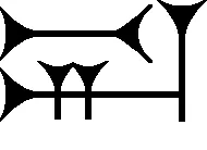 penis: the male erectile reproductive organ used for sexual intercourse that in the human male and other...
