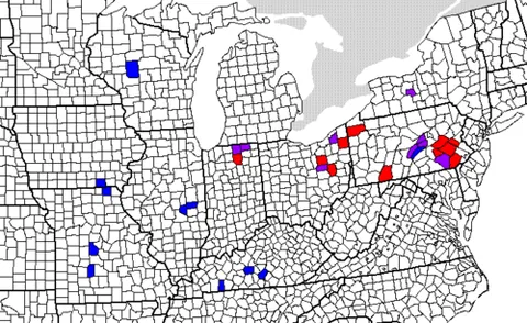 pennsylvania german: a person descended from German immigrants to Pennsylvania before 1800