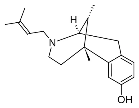 pentazocine: a synthetic compound that is a potent nonaddictive analgesic, often given during childbirth
