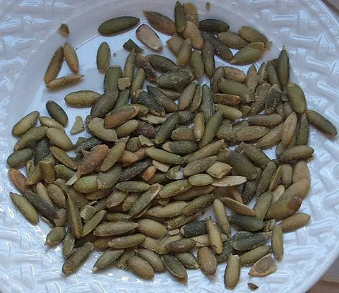 pepita: an edible seed from a pumpkin or similar squash, which may - after being roasted (and, if needed,...