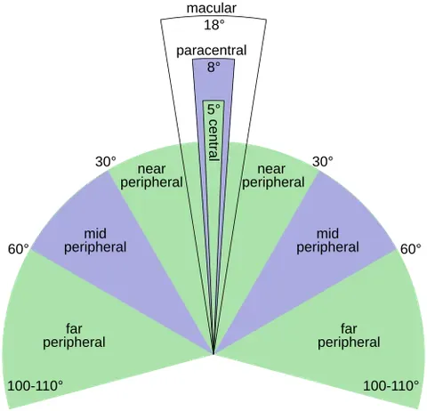 peripheral vision: the part of vision that occurs outside the gaze or central area of focus