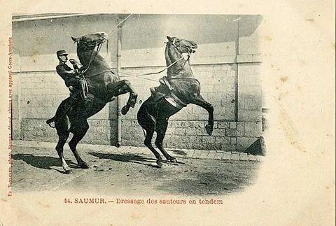 pesade: a dressage movement in which a horse raises its forequarters and keeps its hind feet on the ground,...