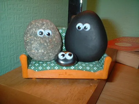 pet rock: a rock one keeps and cares for as if it were a pet, often purchased as a novelty item and jokingly...