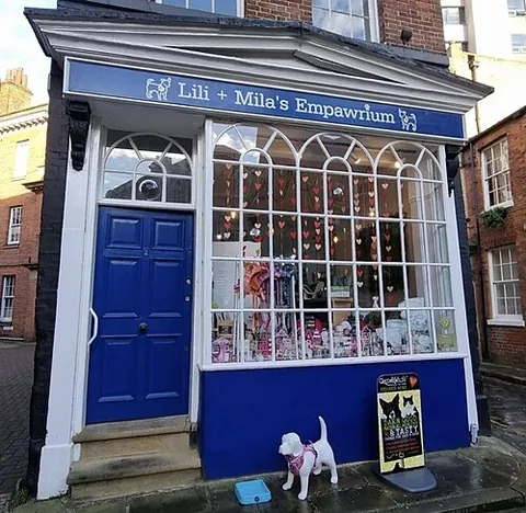 pet shop: a shop that sells animals kept as domestic pets, and products for caring for and feeding them