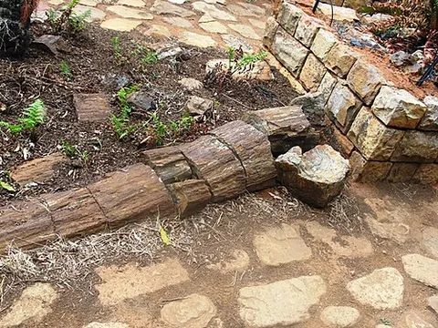 petrify: to turn to stone: to harden organic matter by permeating with water and depositing dissolved...