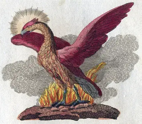 phoenix: a mythological bird, said to be the only one of its kind, which lives for 500 years and then dies...