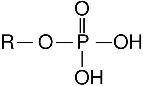 phosphate: any salt or ester of phosphoric acid