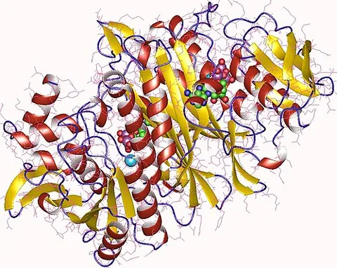 phosphoribosylformylglycinamidine synthase: an enzyme that catalyzes a step in de novo purine biosynthesis, converting...