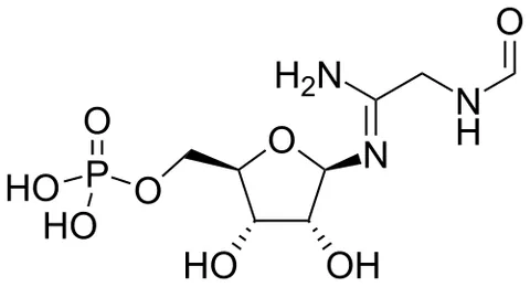 phosphoribosylformylglycinamidine: a phosphorylated intermediate compound in the de novo biosynthesis of purine nucleotides, formed...