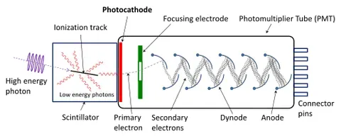 photomultiplier tube: a type of vacuum tube that detects electromagnetic radiation in the range from ultraviolet to...
