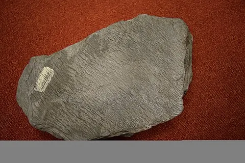 phyllite: a type of metamorphic rock formed from clay-rich sediments called pelites