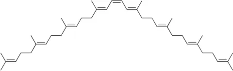 phytoene: an acyclic polyunsaturated isoprenoid hydrocarbon that is the precursor of the biosynthesis of...