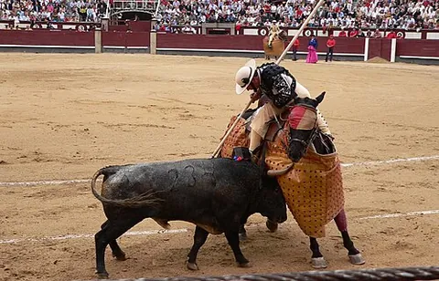 picador: a lancer mounted on horseback who assists a matador