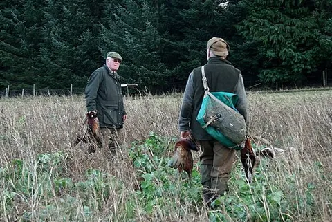 picker-up: a person employed on a shoot to pick up dead game