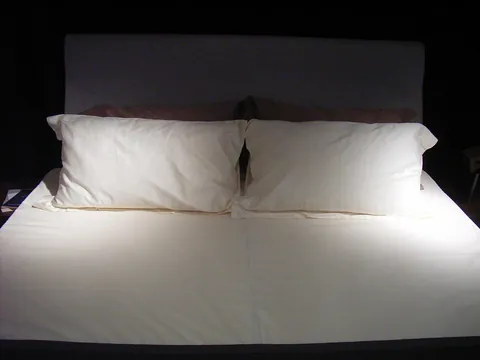 pillow: a soft cushion used to support the head in bed