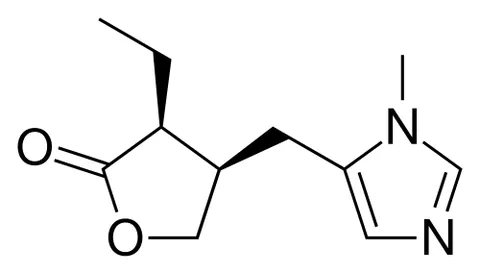 pilocarpine: a miotic alkaloid C₁₁H₁₆N₂O₂ obtained from jaborandi that is used chiefly in the form of its...