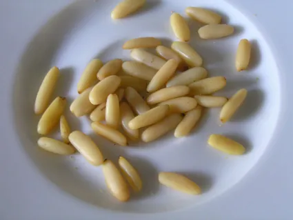 pine nut: the edible seed of any of several species of evergreen pine, especially Pinus pinea, Pinus cembra,...