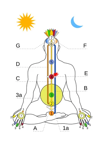pingala: one of the channels through which, in traditional Indian medicine, the energies or prana of the...