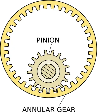 pinion: a wing