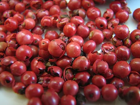 pink peppercorn: the fruit of Schinus molle (and occasionally Schinus terebinthifolia), which is used as a spice...