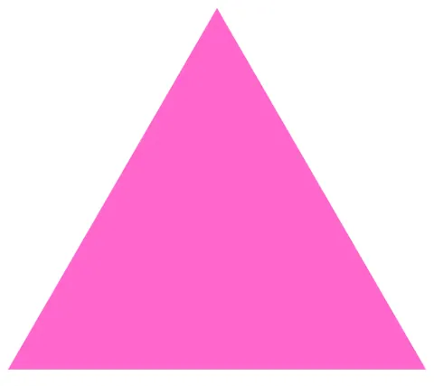 pink triangle: a homosexual