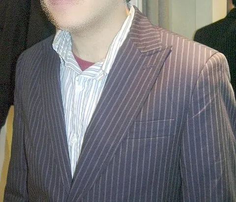 pinstriped: having pinstripes