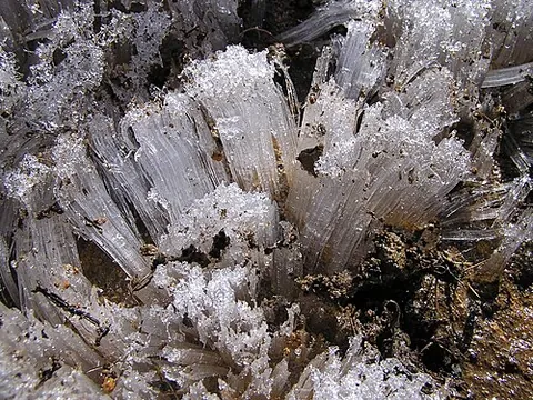 pipkrake: needle ice; ice structures formed when the air temperature is below 0℃ and the soil is not