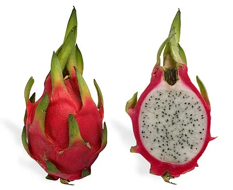 pitaya: certain cactuses native to the Americas, of genera Selenicereus or Stenocereus, especially the...