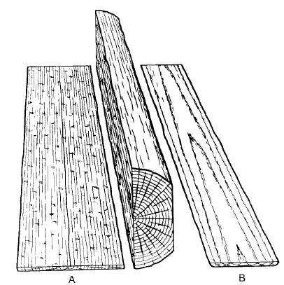 plain saw: to cut into boards using parallel cuts that are tangential to the growth rings